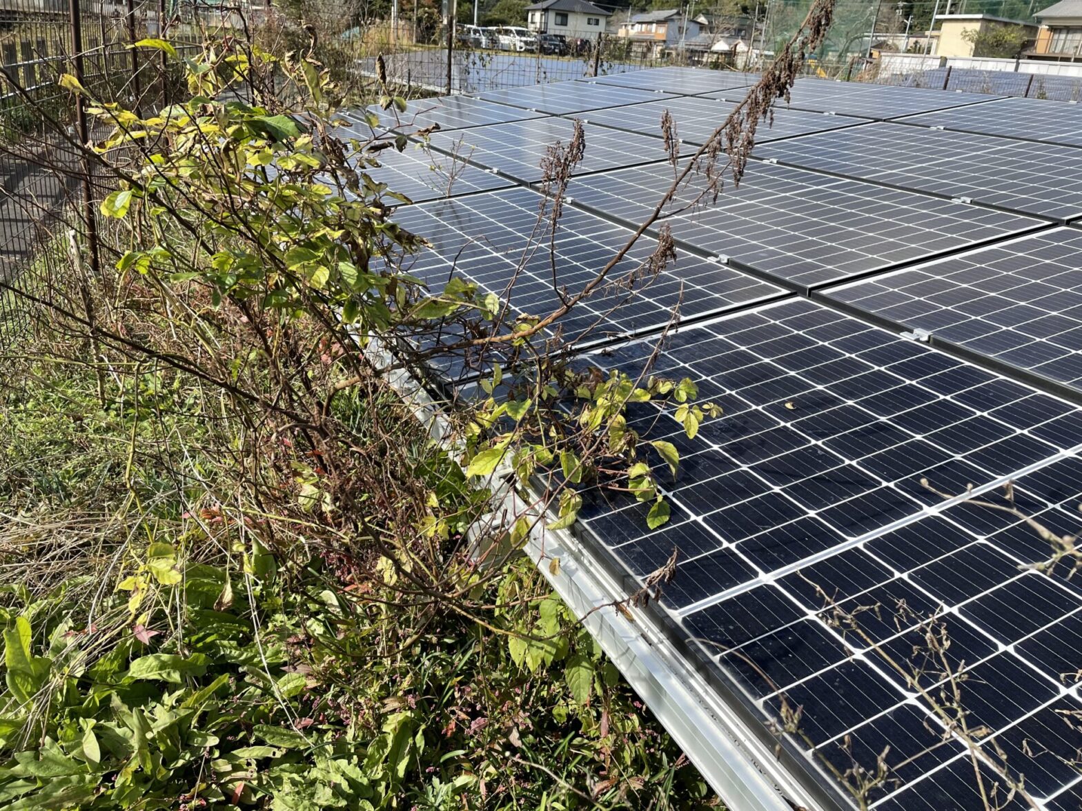 三重県多気郡大台町太陽光発電所除草作業