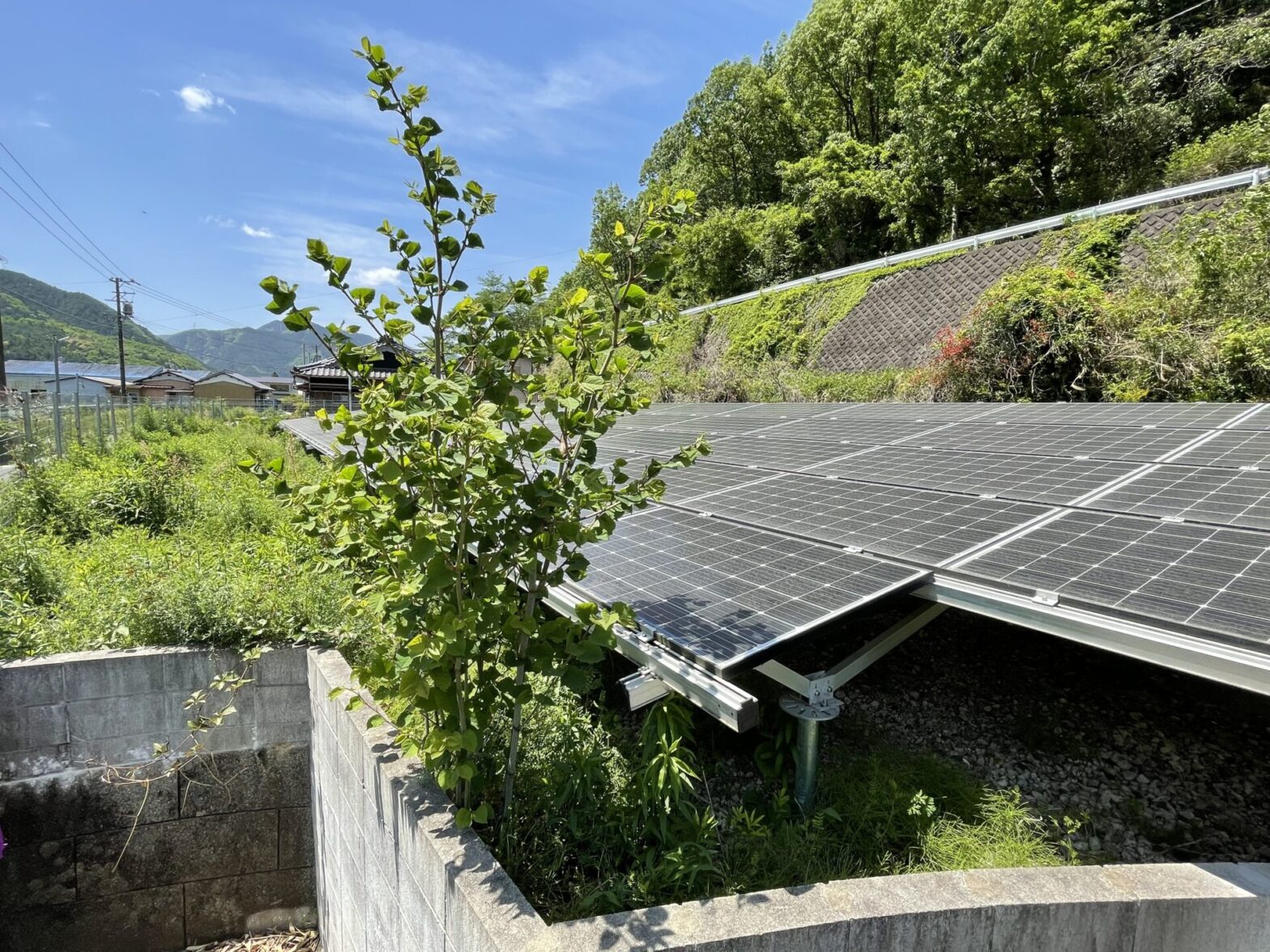 三重県松阪市太陽光発電所除草剤散布作業