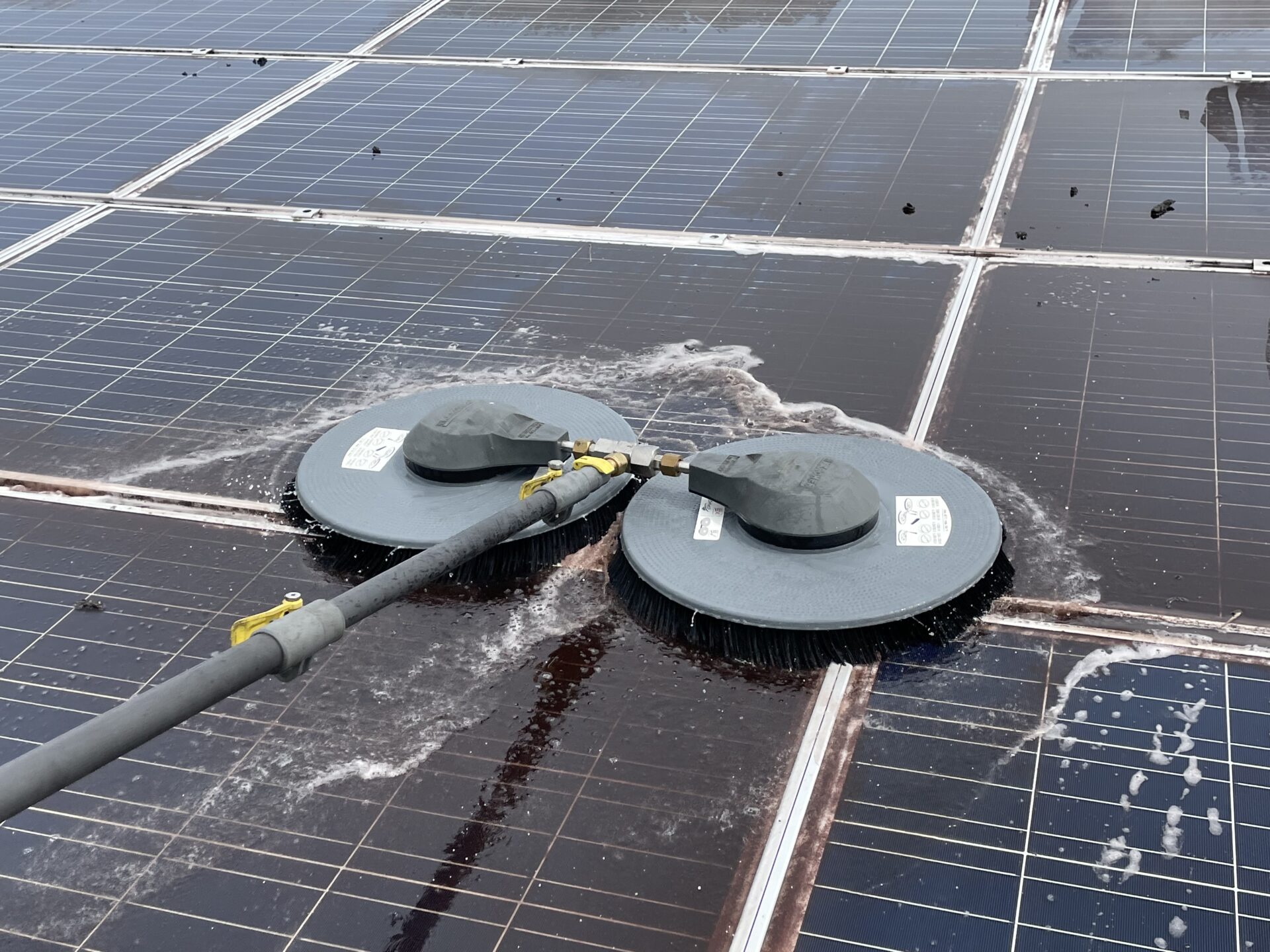 F8417DD1-F306-4B16-A366-