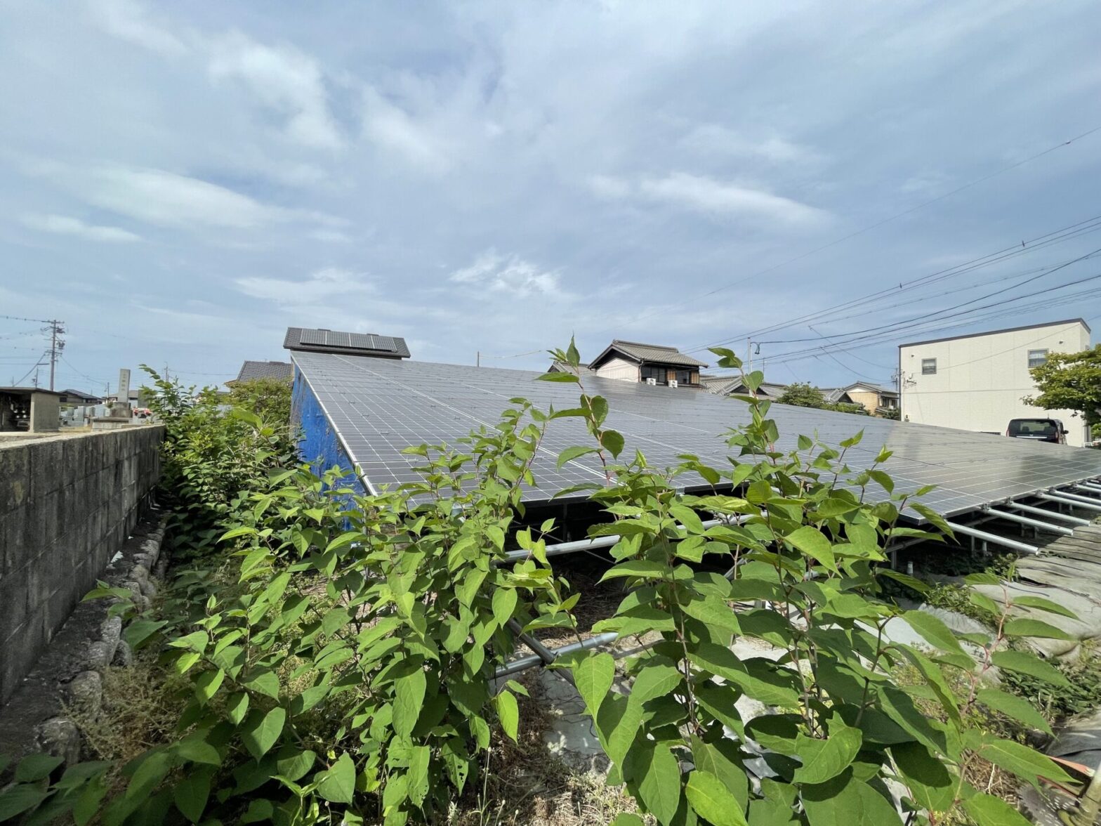 三重県鈴鹿市太陽光発電所除草作業