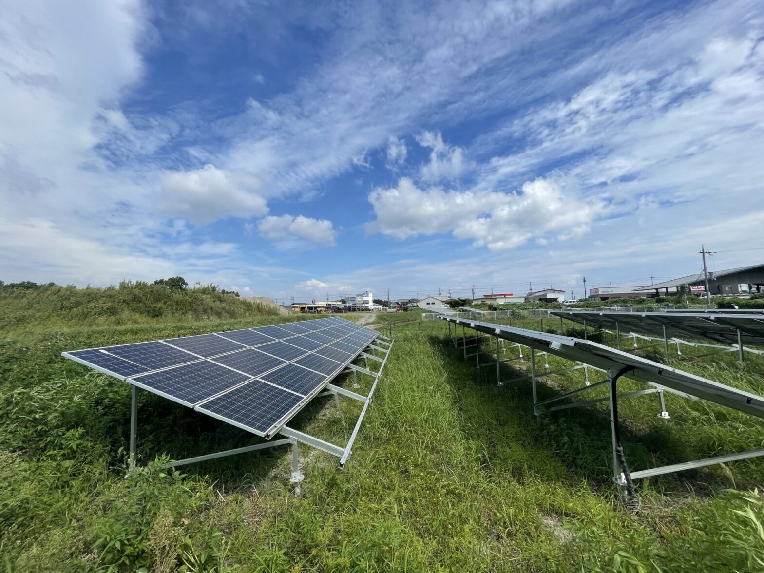 滋賀県太陽光発電所年間除草管理