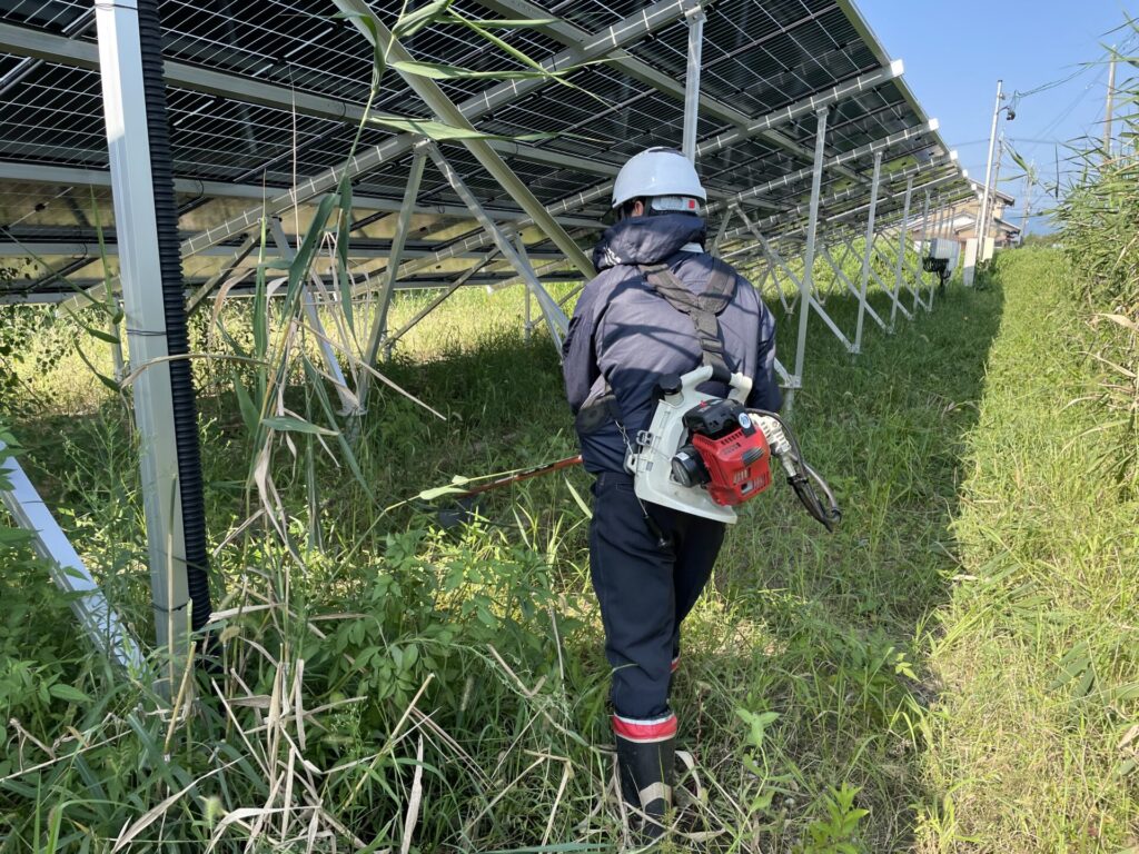 愛知県津島市ソーラー草刈り作業