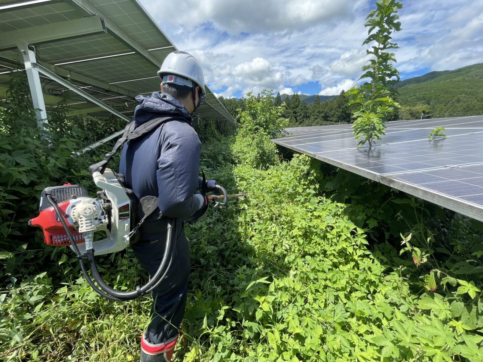 岐阜県中津川市太陽光草刈り・除草剤散布