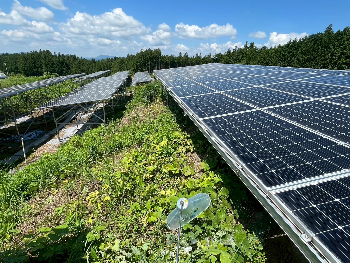 岐阜県中津川市大規模ソーラー定期除草
