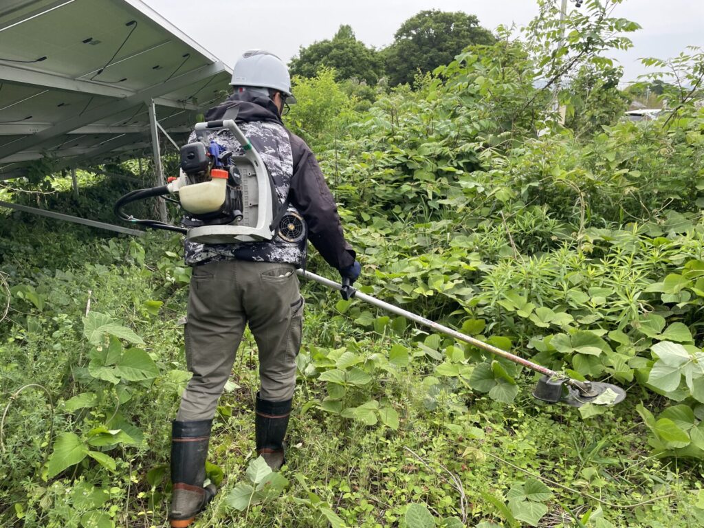 三重県東員町太陽光発電所除草作業