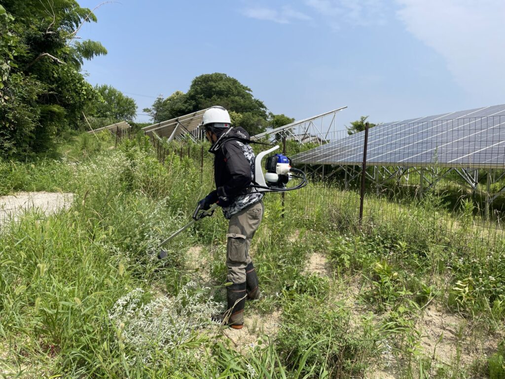 愛知県半田市太陽光発電所除草作業