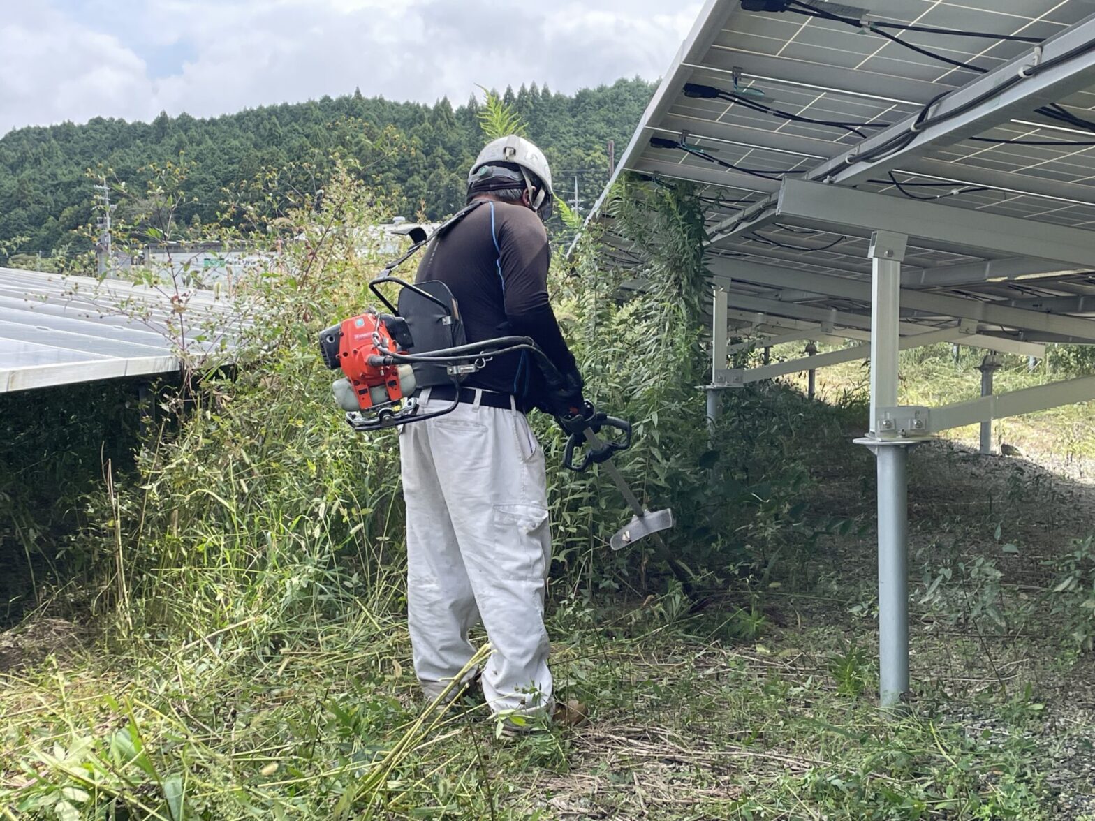 滋賀県甲賀市メガソーラー除草