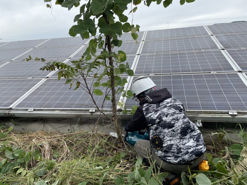 愛知県一宮市太陽光発電所除草作業