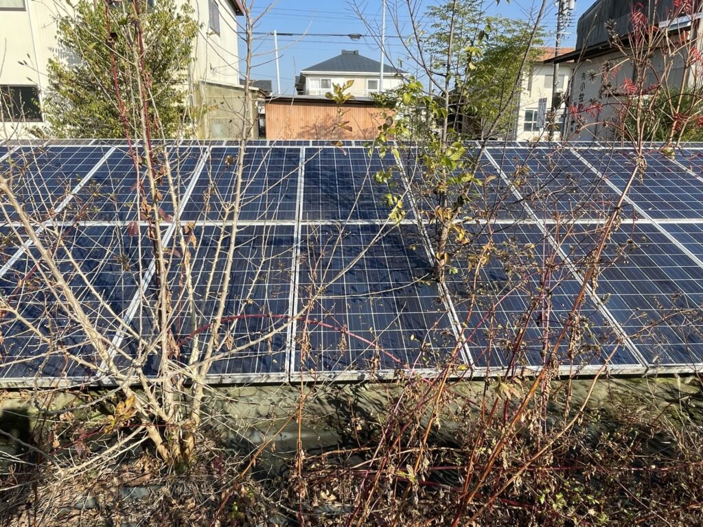 三重県玉城町太陽光発電所2区画除草・伐採作業